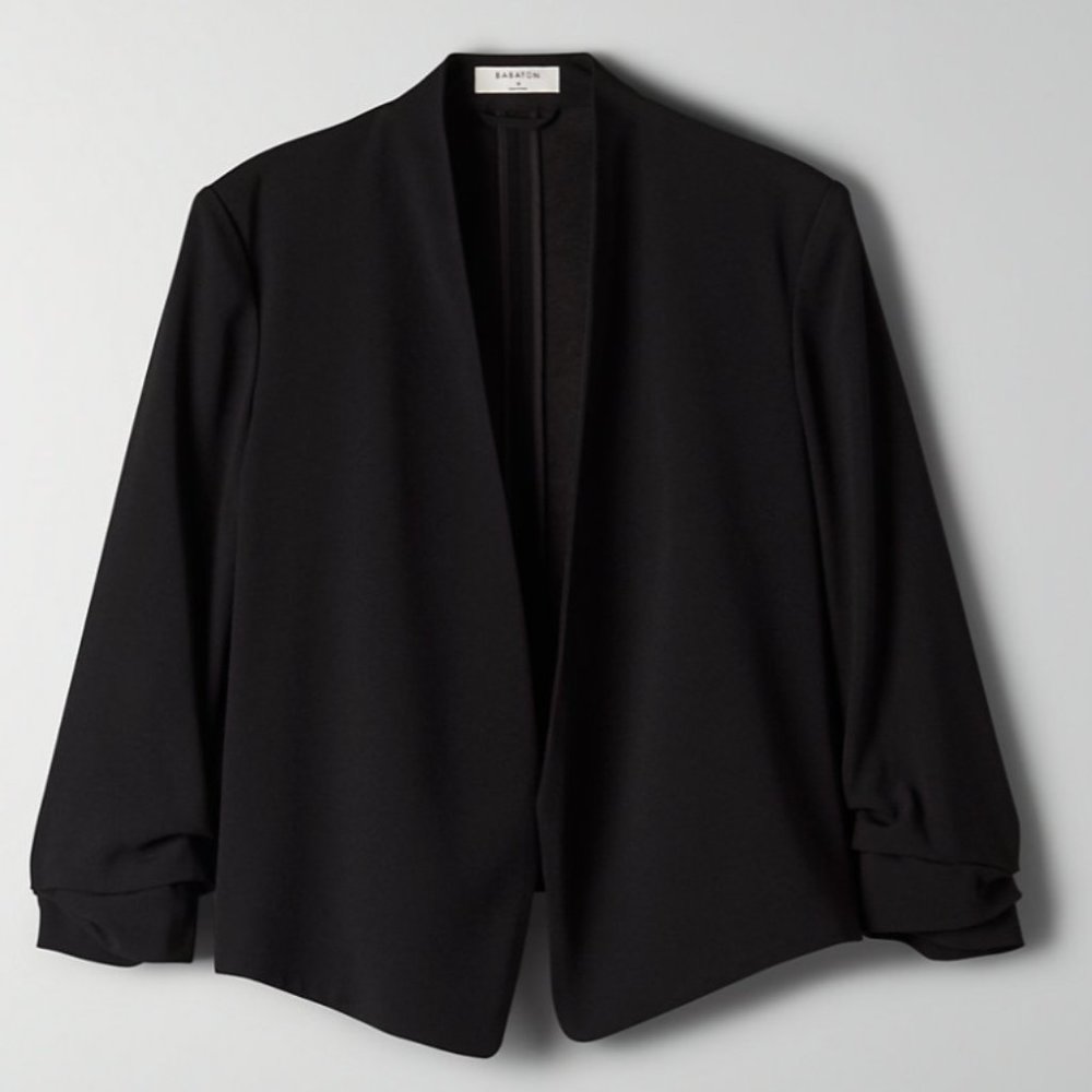 Aritzia Power Short Blazer